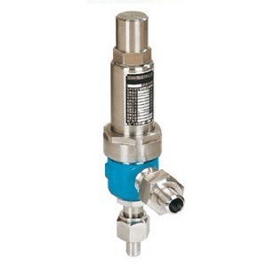 A61H/Y spring type safety valve