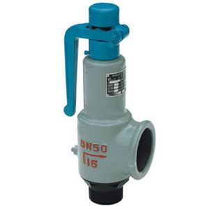 A27H/Y spring type safety valve
