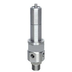 AQ20 air compressor safety valve
