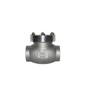 DH61F-40P low temperature check valve