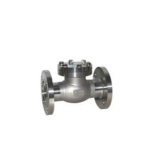 DH41F-40P low temperature check valve