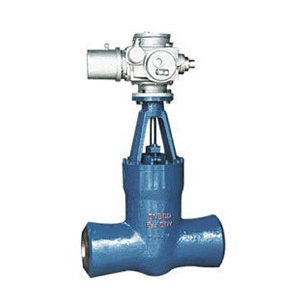 Z960Y gate valve for high temperature and high pressure power station
