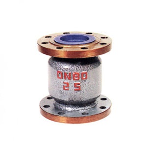 H42N natural gas vertical check valve